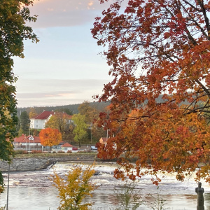 Norvège flamboyance